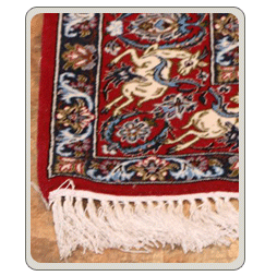 Area rug cleaning