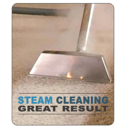 Steam Cleaning