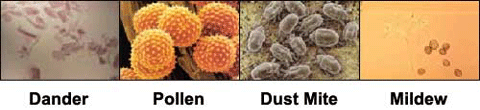 Duct mold cleaning