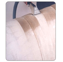 Upholstery Cleaning